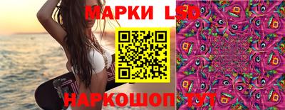 ПСИЛОЦИБИНОВЫЕ ГРИБЫ Будённовск