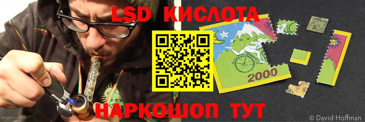 Псилоцибиновые грибы Лесной