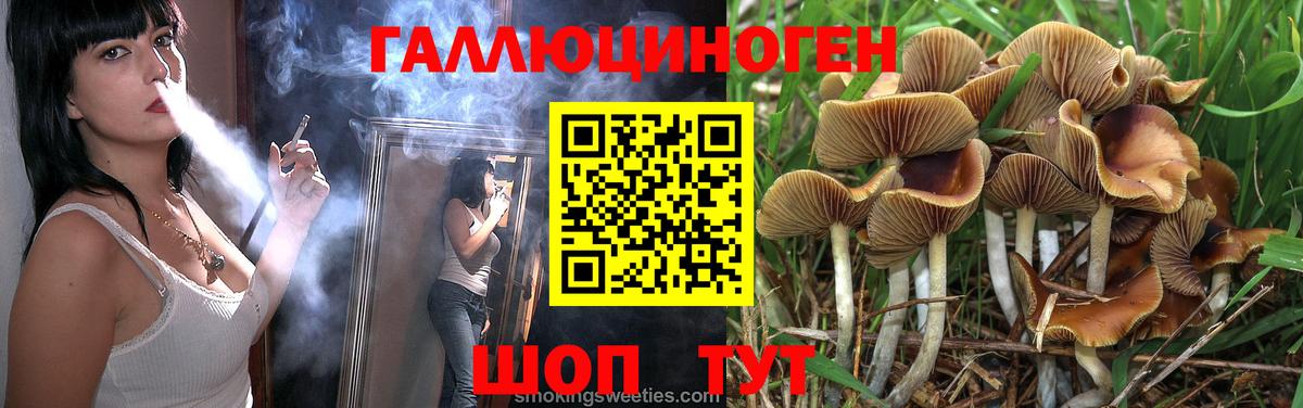 Галлюциногенные грибы Psilocybe Лесной