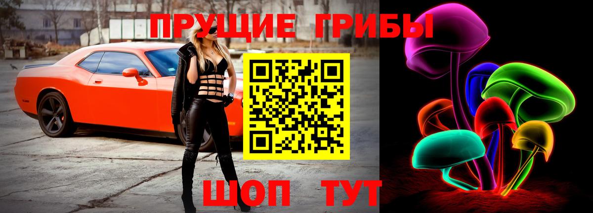 Галлюциногенные грибы Psilocybe  Вход с VPN  Лесной 